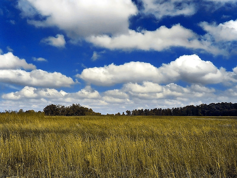 nuvole cumuli