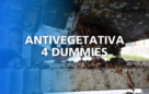 Guida passo passo per l'Antivegetativa