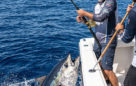 Pescare dalla barca in regola recfishing